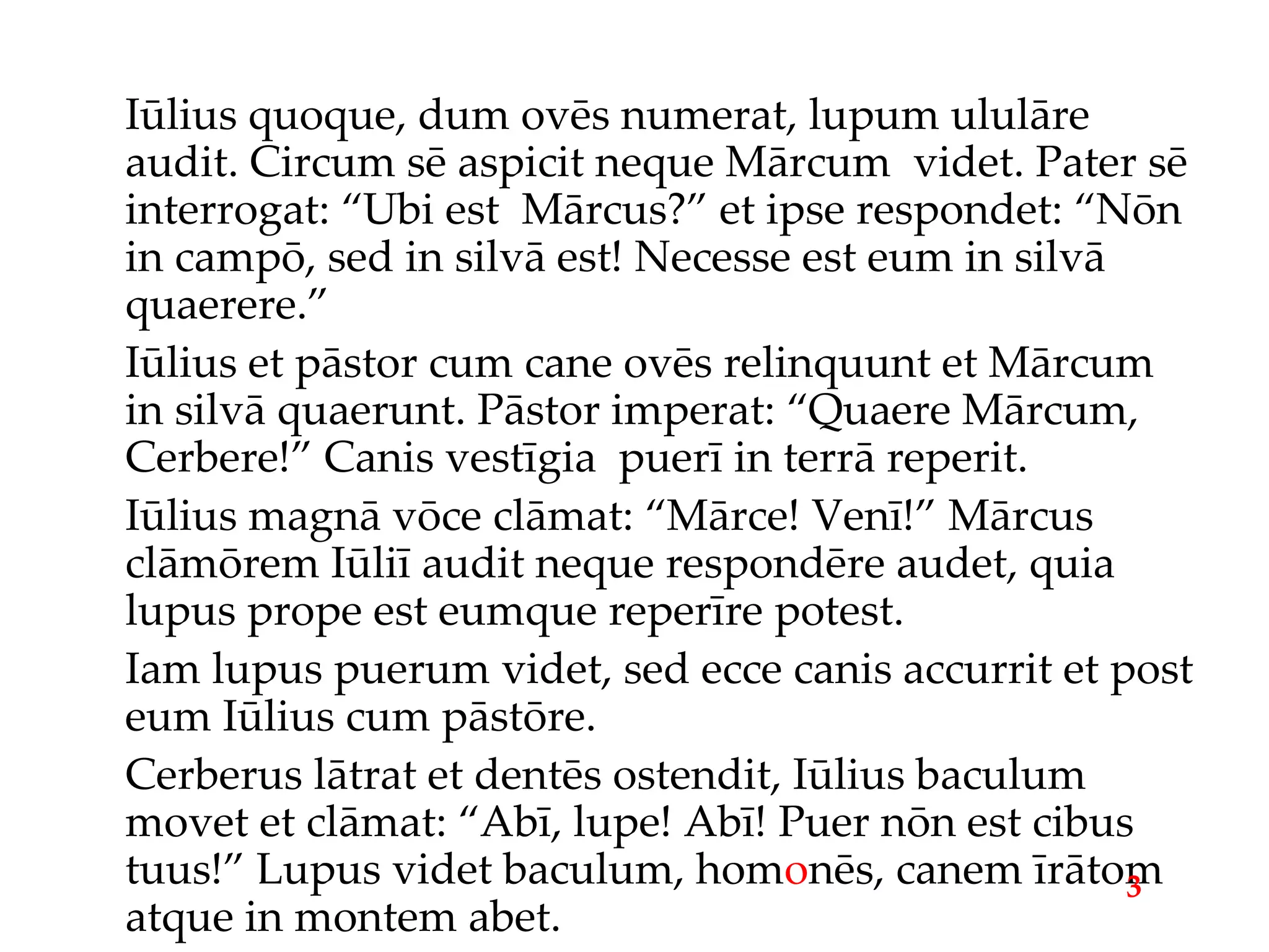 Iūlius quoque, dum ovēs numerat, lupum ululāre audit. Circum sē aspicit neque Mārcum  videt. Pater sē interrogat: “Ubi est  Mārcus?” et ipse respondet: “Nōn in campō, sed in silvā est! Necesse est eum in silvā quaerere.” Iūlius et pāstor cum cane ovēs relinquunt et Mārcum in silvā quaerunt. Pāstor imperat: “Quaere Mārcum, Cerbere!” Canis vestīgia  puerī in terrā reperit. Iūlius magnā vōce clāmat: “Mārce! Venī!” Mārcus clāmōrem Iūliī audit neque respondēre audet, quia lupus prope est eumque reperīre potest. Iam lupus puerum videt, sed ecce canis accurrit et post eum Iūlius cum pāstōre. Cerberus lātrat et dentēs ostendit, Iūlius baculum movet et clāmat: “Abī, lupe! Abī! Puer nōn est cibus tuus!” Lupus videt baculum, hom o nēs, canem īrātom atque in montem abet. 3 