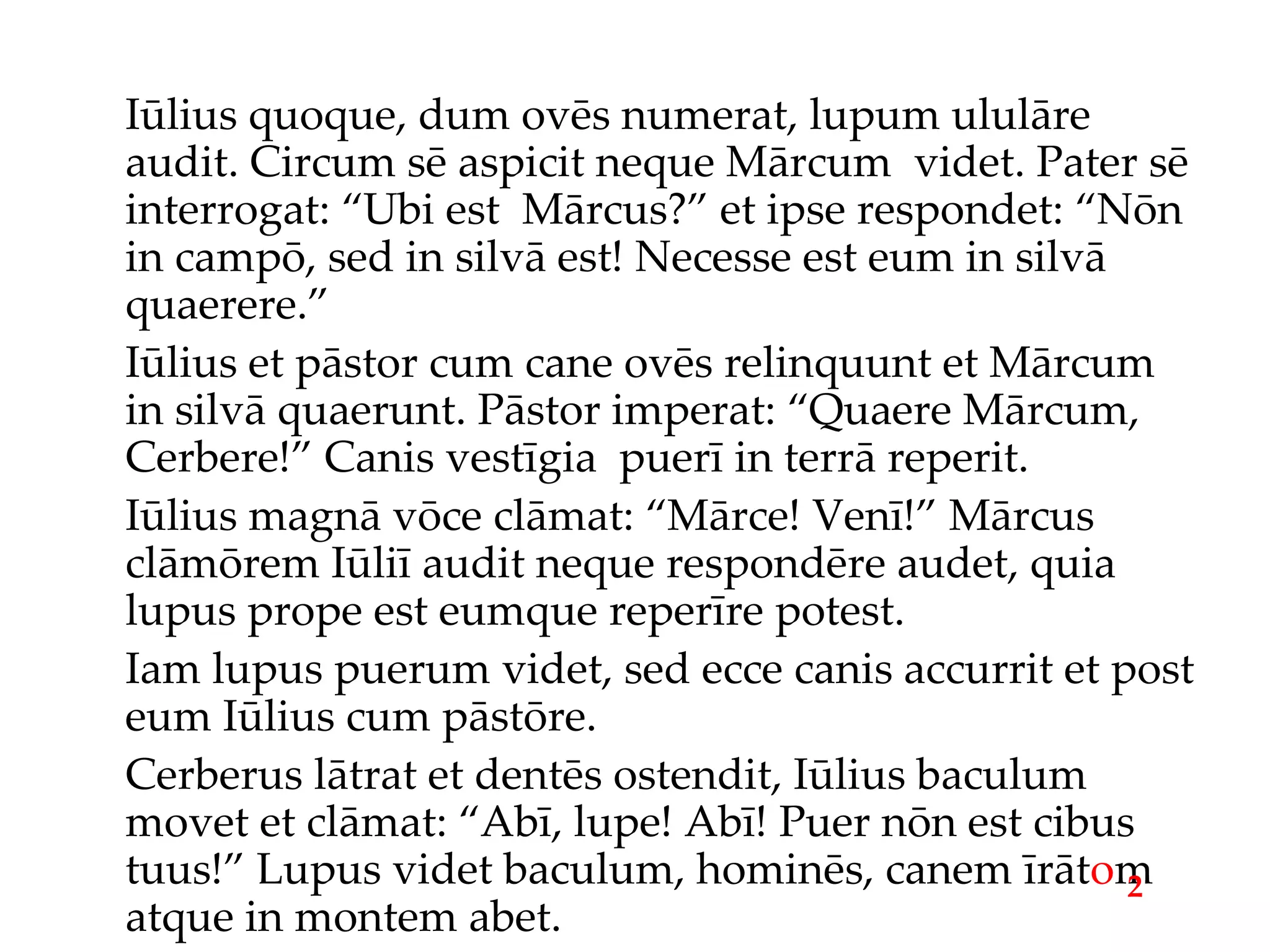 Iūlius quoque, dum ovēs numerat, lupum ululāre audit. Circum sē aspicit neque Mārcum  videt. Pater sē interrogat: “Ubi est  Mārcus?” et ipse respondet: “Nōn in campō, sed in silvā est! Necesse est eum in silvā quaerere.” Iūlius et pāstor cum cane ovēs relinquunt et Mārcum in silvā quaerunt. Pāstor imperat: “Quaere Mārcum, Cerbere!” Canis vestīgia  puerī in terrā reperit. Iūlius magnā vōce clāmat: “Mārce! Venī!” Mārcus clāmōrem Iūliī audit neque respondēre audet, quia lupus prope est eumque reperīre potest. Iam lupus puerum videt, sed ecce canis accurrit et post eum Iūlius cum pāstōre. Cerberus lātrat et dentēs ostendit, Iūlius baculum movet et clāmat: “Abī, lupe! Abī! Puer nōn est cibus tuus!” Lupus videt baculum, hominēs, canem īrāt o m atque in montem abet. 2 