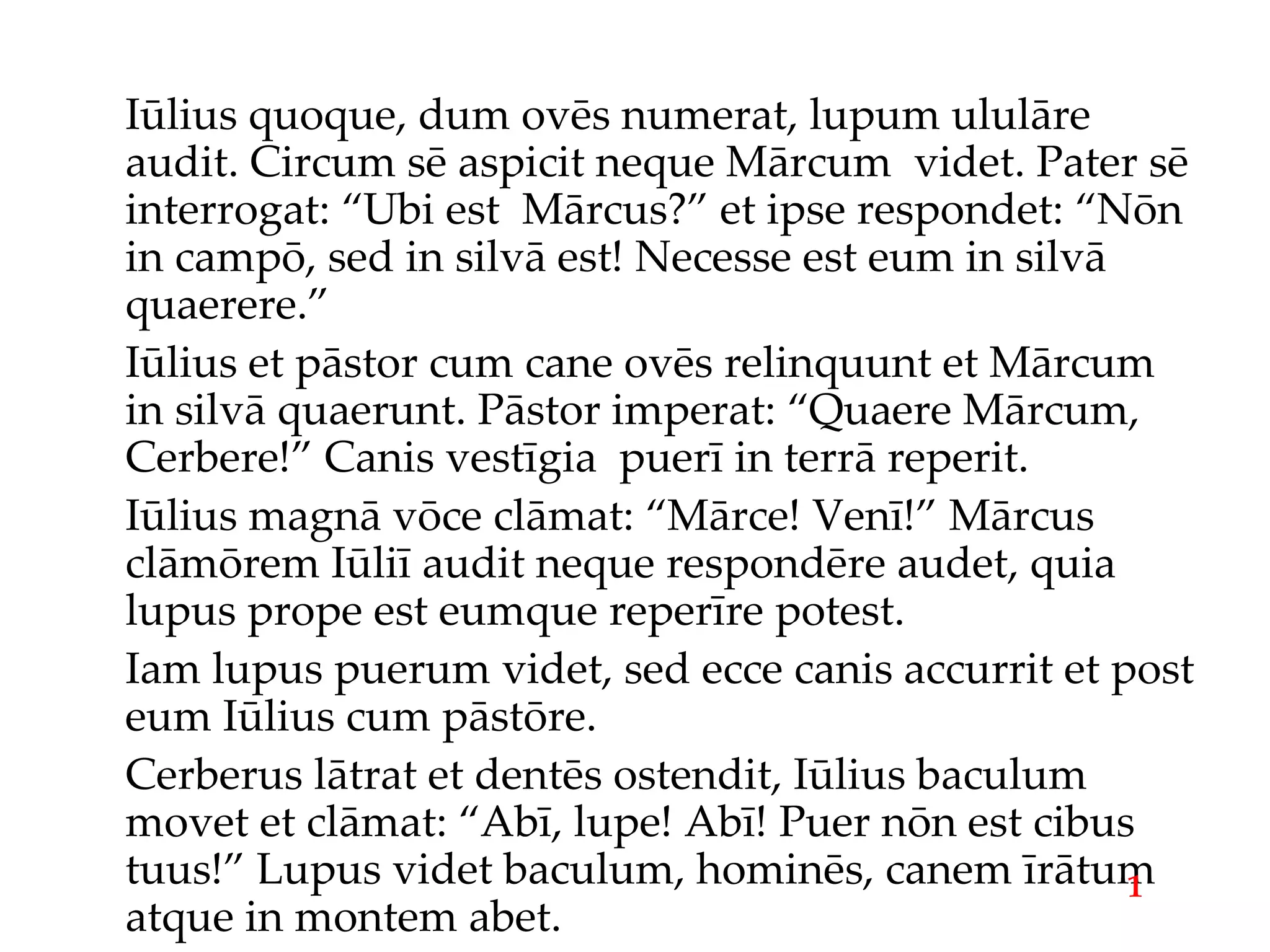 Iūlius quoque, dum ovēs numerat, lupum ululāre audit. Circum sē aspicit neque Mārcum  videt. Pater sē interrogat: “Ubi est  Mārcus?” et ipse respondet: “Nōn in campō, sed in silvā est! Necesse est eum in silvā quaerere.” Iūlius et pāstor cum cane ovēs relinquunt et Mārcum in silvā quaerunt. Pāstor imperat: “Quaere Mārcum, Cerbere!” Canis vestīgia  puerī in terrā reperit. Iūlius magnā vōce clāmat: “Mārce! Venī!” Mārcus clāmōrem Iūliī audit neque respondēre audet, quia lupus prope est eumque reperīre potest. Iam lupus puerum videt, sed ecce canis accurrit et post eum Iūlius cum pāstōre. Cerberus lātrat et dentēs ostendit, Iūlius baculum movet et clāmat: “Abī, lupe! Abī! Puer nōn est cibus tuus!” Lupus videt baculum, hominēs, canem īrātum atque in montem abet. 1 