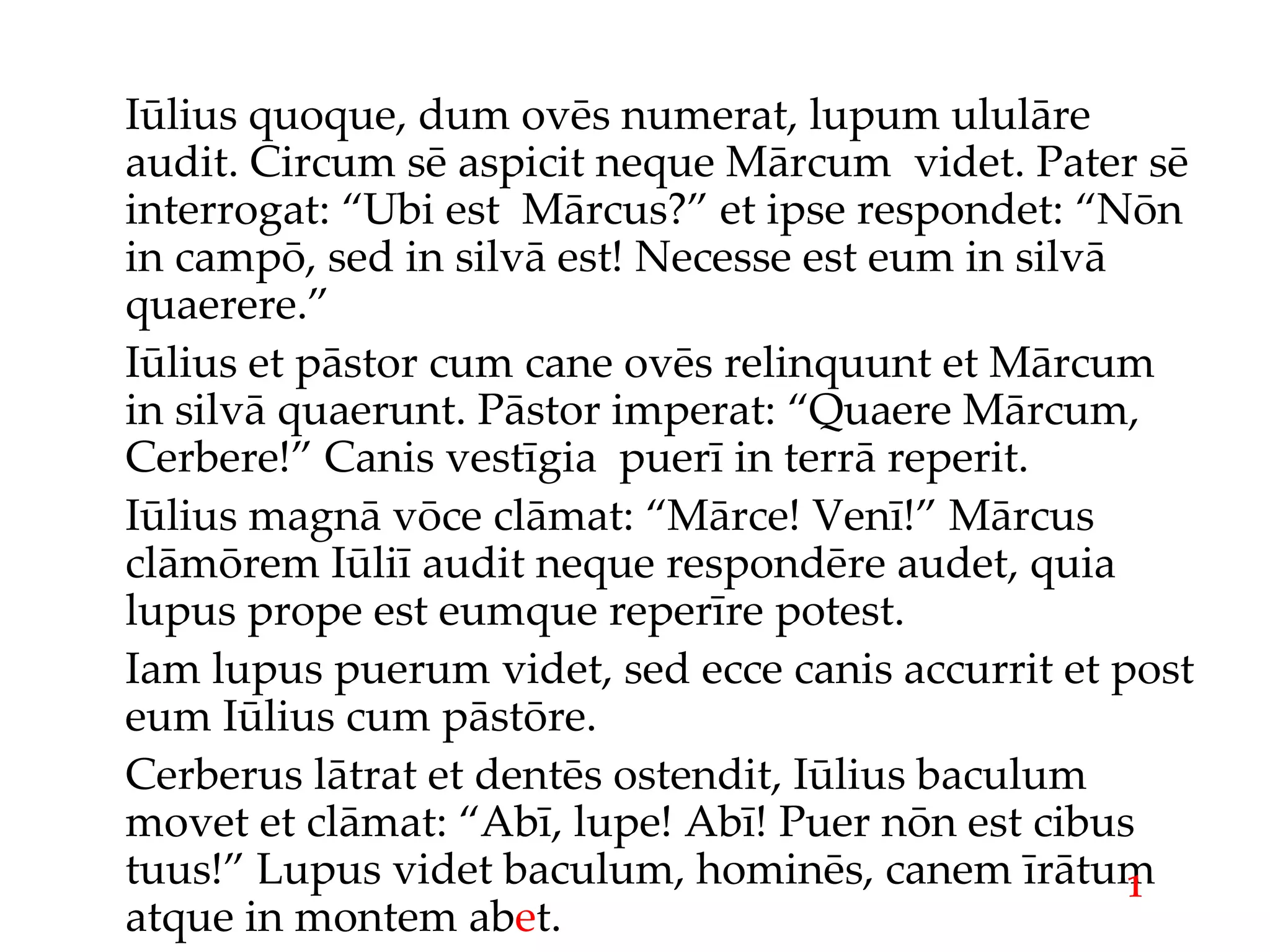 Iūlius quoque, dum ovēs numerat, lupum ululāre audit. Circum sē aspicit neque Mārcum  videt. Pater sē interrogat: “Ubi est  Mārcus?” et ipse respondet: “Nōn in campō, sed in silvā est! Necesse est eum in silvā quaerere.” Iūlius et pāstor cum cane ovēs relinquunt et Mārcum in silvā quaerunt. Pāstor imperat: “Quaere Mārcum, Cerbere!” Canis vestīgia  puerī in terrā reperit. Iūlius magnā vōce clāmat: “Mārce! Venī!” Mārcus clāmōrem Iūliī audit neque respondēre audet, quia lupus prope est eumque reperīre potest. Iam lupus puerum videt, sed ecce canis accurrit et post eum Iūlius cum pāstōre. Cerberus lātrat et dentēs ostendit, Iūlius baculum movet et clāmat: “Abī, lupe! Abī! Puer nōn est cibus tuus!” Lupus videt baculum, hominēs, canem īrātum atque in montem ab e t. 1 