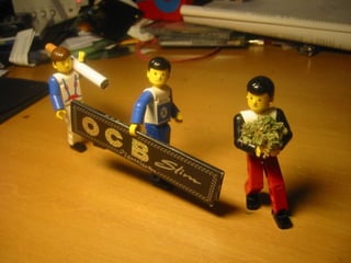 Temas de discusión
• Exponer las ideas principales que se tratarán
 