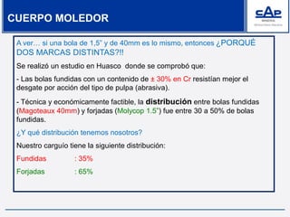 CUERPO MOLEDOR
A ver… si una bola de 1,5” y de 40mm es lo mismo, entonces ¿PORQUÉ
DOS MARCAS DISTINTAS?!!
Se realizó un estudio en Huasco donde se comprobó que:
- Las bolas fundidas con un contenido de ± 30% en Cr resistían mejor el
desgate por acción del tipo de pulpa (abrasiva).
- Técnica y económicamente factible, la distribución entre bolas fundidas
(Magoteaux 40mm) y forjadas (Molycop 1.5”) fue entre 30 a 50% de bolas
fundidas.
¿Y qué distribución tenemos nosotros?
Nuestro carguío tiene la siguiente distribución:
Fundidas : 35%
Forjadas : 65%
 