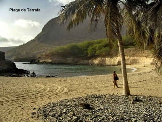 Plage de Tarrafa
 