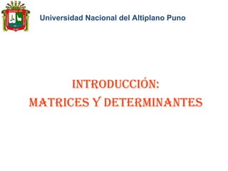 Universidad Nacional del Altiplano Puno
INTRODUCCIÓN:
MaTRICes y DeTeRMINaNTes
 