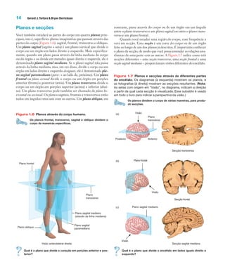 14 Gerard J. Tortora & Bryan Derrickson
Planos e secções
Você também estudará as partes do corpo em quatro planos prin-
cipais, isto é, superfícies planas imaginárias que passam através das
partes do corpo (Figura 1.6): sagital, frontal, transverso e oblíquo.
Um plano sagital (sagitta = seta) é um plano vertical que divide o
corpo ou um órgão em lados direito e esquerdo. Mais especifica-
mente, quando um plano passa através da linha mediana do corpo
ou do órgão e os divide em metades iguais direita e esquerda, ele é
denominado plano sagital mediano. Se o plano sagital não passa
através da linha mediana, mas, em vez disso, divide o corpo ou um
órgão em lados direito e esquerdo desiguais, ele é denominado pla-
no sagital paramediano (para- = ao lado de, próximo). Um plano
frontal ou plano coronal divide o corpo ou um órgão em porções
anterior (frente) e posterior (atrás). Um plano transverso divide o
corpo ou um órgão em porções superior (acima) e inferior (abai-
xo). Um plano transverso pode também ser chamado de plano ho-
rizontal ou seccional. Os planos sagitais, frontais e transversos estão
todos em ângulos retos uns com os outros. Um plano oblíquo, em
contraste, passa através do corpo ou de um órgão em um ângulo
entre o plano transverso e um plano sagital ou entre o plano trans-
verso e um plano frontal.
Quando você estudar uma região do corpo, com frequência a
verá em secção. Uma secção é um corte do corpo ou de um órgão
feito ao longo de um dos planos já descritos. É importante conhecer
o plano da secção, de modo que você possa entender as relações ana-
tômicas de uma parte com as outras. A Figura 1.7 indica como três
secções diferentes – uma secção transversa, uma secção frontal e uma
secção sagital mediana – proporcionam visões diferentes do encéfalo.
Figura 1.6 Planos através do corpo humano.
Os planos frontal, transverso, sagital e oblíquo dividem o
corpo de maneiras específicas.
Visão anterolateral direita
Plano sagital
paramedianoPlano oblíquo
Plano frontal
Plano sagital mediano
(através da linha mediana)
Plano
transverso
Qual é o plano que divide o coração em porções anterior e pos-
terior?
Figura 1.7 Planos e secções através de diferentes partes
do encéfalo. Os diagramas (à esquerda) mostram os planos, e
as fotografias (à direita) mostram as secções resultantes. (Nota:
As setas com origem em “Visão”, no diagrama, indicam a direção
a partir da qual cada secção é visualizada. Esse subsídio é usado
em todo o livro para indicar a perspectiva da visão.)
Os planos dividem o corpo de várias maneiras, para produ-
zir secções.
(a)
(b)
(c)
Plano frontal
Plano sagital mediano
Plano
transverso
Visão
Visão
Visão
AnteriorPosterior
Secção transversa
Secção frontal
Secção sagital mediana
Qual é o plano que divide o encéfalo em lados iguais direito e
esquerdo?
Tortora_Gerard.indb 14Tortora_Gerard.indb 14 10/02/12 10:2210/02/12 10:22
 