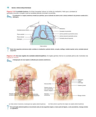 16 Gerard J. Tortora & Bryan Derrickson
Figura 1.9 A cavidade torácica. As linhas tracejadas indicam os limites do mediastino. Note que a cavidade do
pericárdio circunda o coração e que as cavidades pleurais circundam os pulmões.
O mediastino é a região anatômica medial aos pulmões, que se estende do esterno até a coluna vertebral e da primeira costela até o
diafragma.
Cavidade pleural direita
Mediastino
Cavidade pleural esquerda
Visão anterior
Cavidade do pericárdio
Lâmina parietal do pericárdio seroso
Lâmina visceral do pericárdio seroso
Pleura parietal
Pleura visceral
Diafragma
Quais das seguintes estruturas estão contidas no mediastino: pulmão direito, coração, esôfago, medula espinal, aorta, cavidade pleural
esquerda?
Figura 1.10 As nove regiões da cavidade abdominopélvica. Os órgãos genitais internos na cavidade pélvica são mostrados nas
Figuras 23.1 e 23.6.
A designação de nove regiões é utilizada para estudos anatômicos.
(b) Visão anterior superficial dos órgãos nas regiões abdominopélvicas
NDRIOHIPOCÔNDRIO
DIREITO
REGIÃO
(ILÍACA)
HIPOGÁSTRIOGUINAL
IREITA
REGIÃ
LATER
ESQUE
REGIÃO
UMBILICAL
GIÃO
TERAL
REITA
HIPOCÔ
ESQUE
EPIGÁSTRIOEPIGÁSTRIO
REGIÃO
LATERAL
DIREITA
REGIÃO
LATERAL
ESQUERDA
REGIÃO
UMBILICAL
REGIÃO INGUINAL
(ILÍACA) DIREITA
REGIÃO INGUINAL
(ILÍACA) ESQUERDA
HIPOGÁSTRIO
(a) Visão anterior mostrando a localização das regiões abdominopélvicas
Direita Esquerda
HIPOCÔNDRIO
ESQUERDO
Diafragma
Fígado
Estômago
Intestino grosso
Bexiga urinária
Vesícula biliar
Intestino grosso
(colo ascendente)
Intestino delgado
Apêndice
vermiforme
Em qual região abdominopélvica é encontrado cada um dos seguintes órgãos: a maior parte do fígado, o colo ascendente, a bexiga urinária
e o apêndice?
Tortora_Gerard.indb 16Tortora_Gerard.indb 16 10/02/12 10:2210/02/12 10:22
 