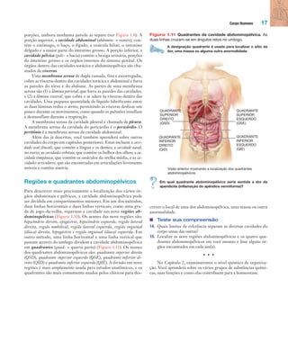 Corpo Humano 17
porções, embora nenhuma parede as separe (ver Figura 1.8). A
porção superior, a cavidade abdominal (abdomin- = ventre), con-
tém o estômago, o baço, o fígado, a vesícula biliar, o intestino
delgado e a maior parte do intestino grosso. A porção inferior, a
cavidade pélvica (pelv- = bacia) contém a bexiga urinária, porções
do intestino grosso e os órgãos internos do sistema genital. Os
órgãos dentro das cavidades torácica e abdominopélvica são cha-
mados de vísceras.
Uma membrana serosa de dupla camada, fina e escorregadia,
cobre as vísceras dentro das cavidades torácica e abdominal e forra
as paredes do tórax e do abdome. As partes de uma membrana
serosa são (1) a lâmina parietal, que forra as paredes das cavidades,
e (2) a lâmina visceral, que cobre e se adere às vísceras dentro das
cavidades. Uma pequena quantidade de líquido lubrificante entre
as duas lâminas reduz o atrito, permitindo às vísceras deslizar um
pouco durante os movimentos, como quando os pulmões insuflam
e desinsuflam durante a respiração.
A membrana serosa da cavidade pleural é chamada de pleura.
A membrana serosa da cavidade do pericárdio é o pericárdio. O
peritônio é a membrana serosa da cavidade abdominal.
Além das já descritas, você também aprenderá sobre outras
cavidades do corpo em capítulos posteriores. Estas incluem a cavi-
dade oral (bucal), que contém a língua e os dentes; a cavidade nasal,
no nariz; as cavidades orbitais, que contêm os bulbos dos olhos; a ca-
vidade timpânica, que contém os ossículos da orelha média, e as ca-
vidades articulares, que são encontradas em articulações livremente
móveis e contêm sinóvia.
Regiões e quadrantes abdominopélvicos
Para descrever mais precisamente a localização dos vários ór-
gãos abdominais e pélvicos, a cavidade abdominopélvica pode
ser dividida em compartimentos menores. Em um dos métodos,
duas linhas horizontais e duas linhas verticais, como uma gra-
de de jogo-da-velha, repartem a cavidade em nove regiões ab-
dominopélvicas (Figura 1.10). Os nomes das nove regiões são:
hipocôndrio direito, epigástrio, hipocôndrio esquerdo, região lateral
direita, região umbilical, região lateral esquerda, região inguinal
(ilíaca) direita, hipogástrio e região inguinal (ilíaca) esquerda. Em
outro método, uma linha horizontal e uma linha vertical que
passam através do umbigo dividem a cavidade abdominopélvica
em quadrantes (quad- = quarta parte) (Figura 1.11). Os nomes
dos quadrantes abdominopélvicos são: quadrante superior direito
(QSD), quadrante superior esquerdo (QSE), quadrante inferior di-
reito (QID) e quadrante inferior esquerdo (QIE). A divisão em nove
regiões é mais amplamente usada para estudos anatômicos, e os
quadrantes são mais comumente usados pelos clínicos para des-
crever o local de uma dor abdominopélvica, uma massa ou outra
anormalidade.
■ Teste sua compreensão
14. Quais limites de referência separam as diversas cavidades do
corpo umas das outras?
15. Localize as nove regiões abdominopélvicas e os quatro qua-
drantes abdominopélvicos em você mesmo e liste alguns ór-
gãos encontrados em cada um(a).
• • •
No Capítulo 2, examinaremos o nível químico de organiza-
ção. Você aprenderá sobre os vários grupos de substâncias quími-
cas, suas funções e como elas contribuem para a homeostase.
Figura 1.11 Quadrantes da cavidade abdominopélvica. As
duas linhas cruzam-se em ângulos retos no umbigo.
A designação quadrante é usada para localizar o sítio da
dor, uma massa ou alguma outra anormalidade.
Visão anterior mostrando a localização dos quadrantes
abdominopélvicos.
QUADRANTE
INFERIOR
ESQUERDO
(QIE)
QUADRANTE
SUPERIOR
ESQUERDO
(QSE)
QUADRANTE
INFERIOR
DIREITO
(QID)
QUADRANTE
SUPERIOR
DIREITO
(QSD)
Em qual quadrante abdominopélvico seria sentida a dor da
apendicite (inflamação do apêndice vermiforme)?
Tortora_Gerard.indb 17Tortora_Gerard.indb 17 10/02/12 10:2210/02/12 10:22
 