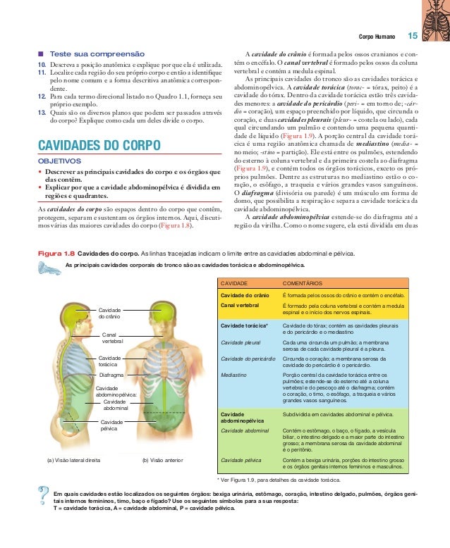 Descreva a posição anatomica