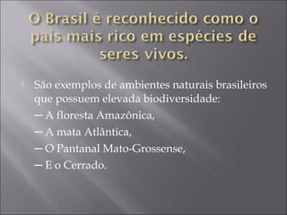    São exemplos de ambientes naturais brasileiros
    que possuem elevada biodiversidade:
    ─ A floresta Amazônica,
    ─ A mata Atlântica,
    ─ O Pantanal Mato-Grossense,
    ─ E o Cerrado.
 