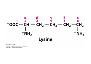 cap_03_lehninger.pdf