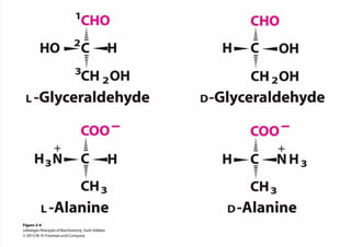 cap_03_lehninger.pdf