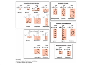 cap_03_lehninger.pdf