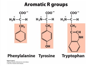 cap_03_lehninger.pdf