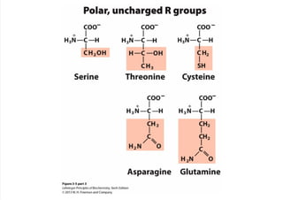 cap_03_lehninger.pdf