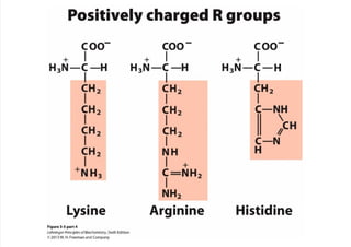 cap_03_lehninger.pdf