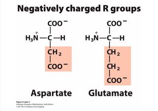 cap_03_lehninger.pdf
