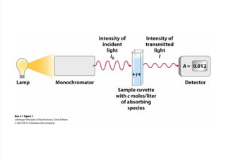 cap_03_lehninger.pdf