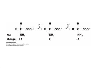 cap_03_lehninger.pdf