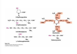 cap_03_lehninger.pdf