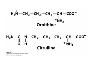 cap_03_lehninger.pdf