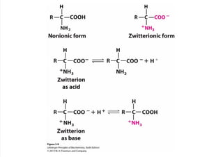 cap_03_lehninger.pdf