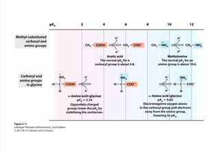 cap_03_lehninger.pdf