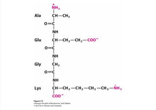 cap_03_lehninger.pdf