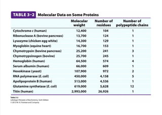 cap_03_lehninger.pdf