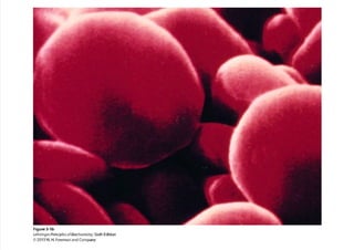 cap_03_lehninger.pdf