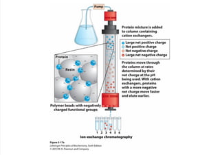 cap_03_lehninger.pdf
