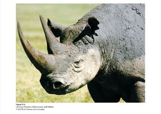 cap_03_lehninger.pdf