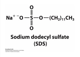 cap_03_lehninger.pdf
