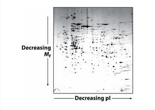 cap_03_lehninger.pdf