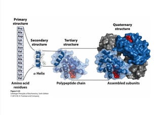 cap_03_lehninger.pdf