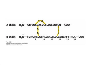 cap_03_lehninger.pdf