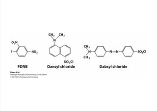 cap_03_lehninger.pdf