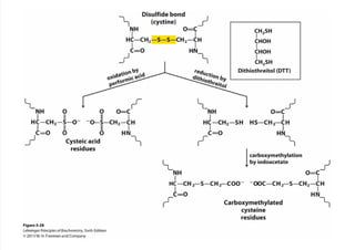 cap_03_lehninger.pdf