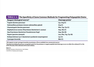 cap_03_lehninger.pdf