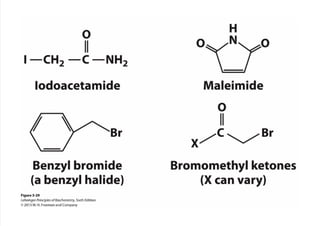cap_03_lehninger.pdf