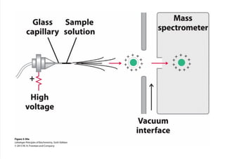 cap_03_lehninger.pdf