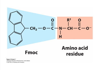 cap_03_lehninger.pdf