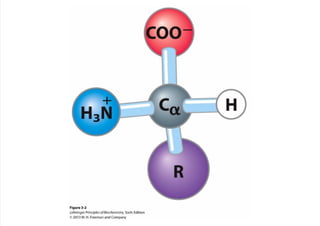 cap_03_lehninger.pdf