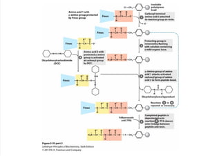 cap_03_lehninger.pdf