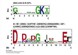 cap_03_lehninger.pdf