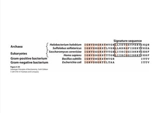 cap_03_lehninger.pdf