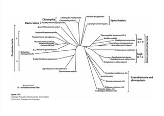 cap_03_lehninger.pdf