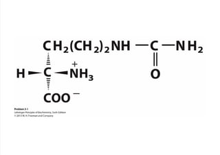 cap_03_lehninger.pdf
