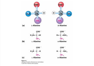 cap_03_lehninger.pdf