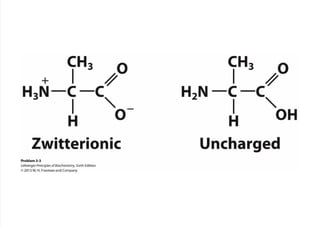 cap_03_lehninger.pdf