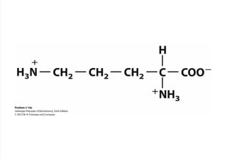 cap_03_lehninger.pdf